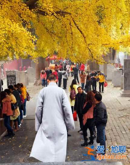 中國佛教的禪宗祖庭，少林武術(shù)的發(fā)祥地——少林寺？
