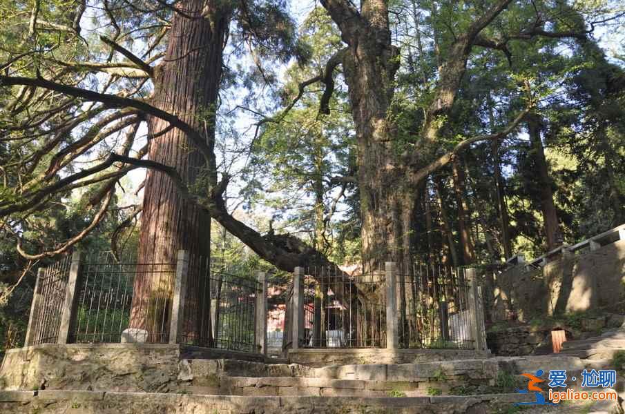 【廬山東西線哪個好玩】廬山東線有什么景點，廬山西線有什么景點？