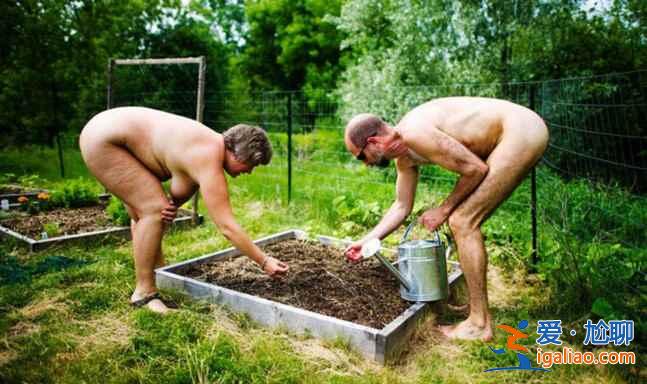 走進加拿大安大略省天體公園(組圖)? 走進加拿大安大略省天體公園(組圖)?