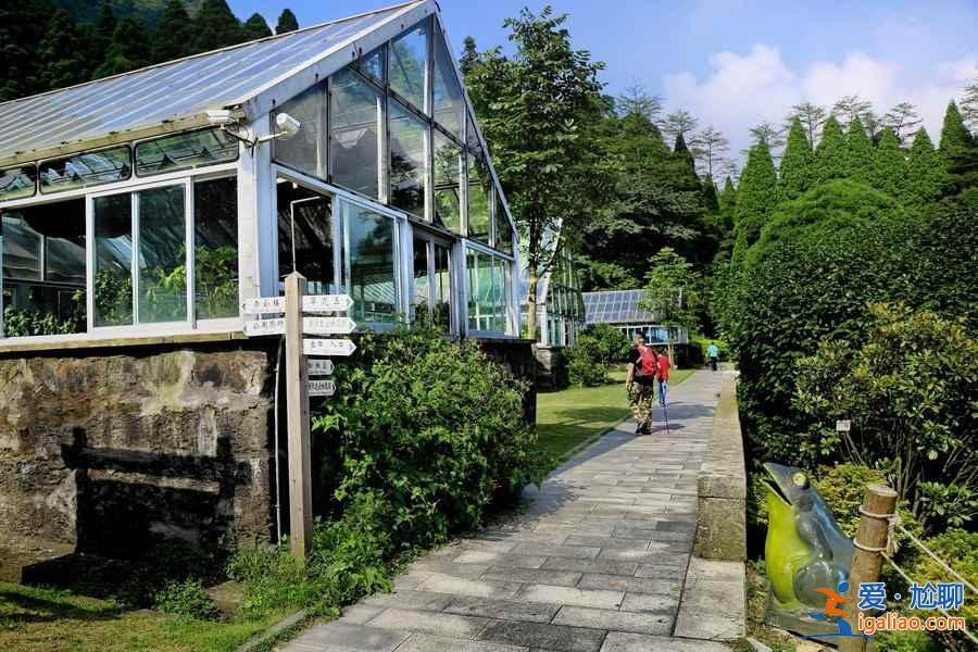 【廬山東西線哪個好玩】廬山東線有什么景點，廬山西線有什么景點？