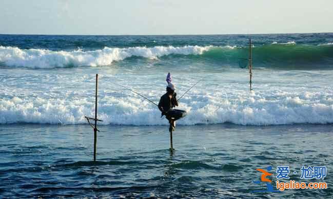 斯里蘭卡的高蹺捕魚(yú),讓人稱(chēng)奇!? 斯里蘭卡的高蹺捕魚(yú),讓人稱(chēng)奇!?