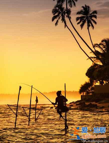 斯里蘭卡的高蹺捕魚(yú),讓人稱(chēng)奇!? 斯里蘭卡的高蹺捕魚(yú),讓人稱(chēng)奇!?
