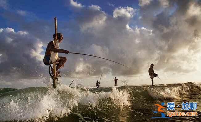 斯里蘭卡的高蹺捕魚(yú),讓人稱(chēng)奇!? 斯里蘭卡的高蹺捕魚(yú),讓人稱(chēng)奇!?
