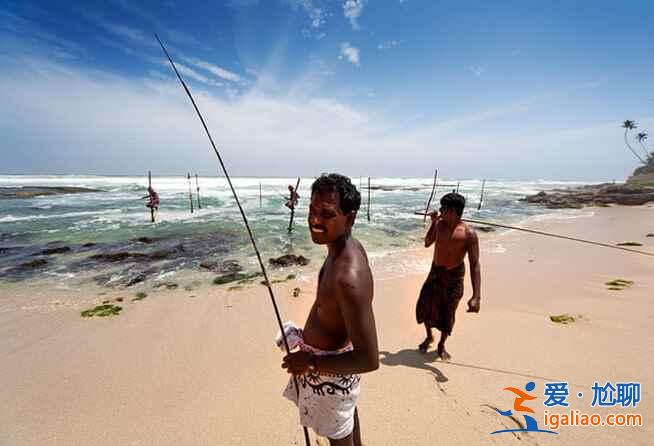 斯里蘭卡的高蹺捕魚(yú),讓人稱(chēng)奇!? 斯里蘭卡的高蹺捕魚(yú),讓人稱(chēng)奇!?
