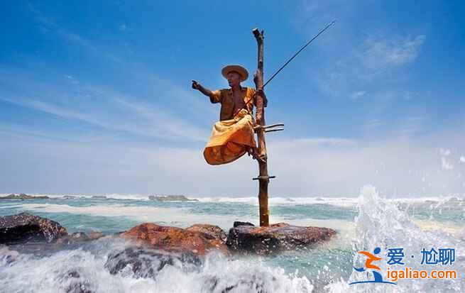 斯里蘭卡的高蹺捕魚(yú),讓人稱(chēng)奇!? 斯里蘭卡的高蹺捕魚(yú),讓人稱(chēng)奇!?