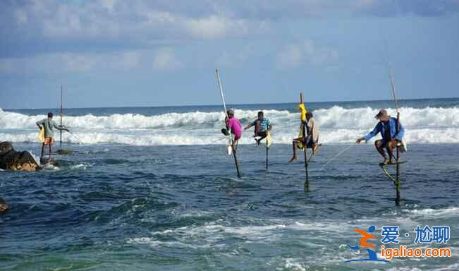 斯里蘭卡的高蹺捕魚(yú),讓人稱(chēng)奇!? 斯里蘭卡的高蹺捕魚(yú),讓人稱(chēng)奇!?