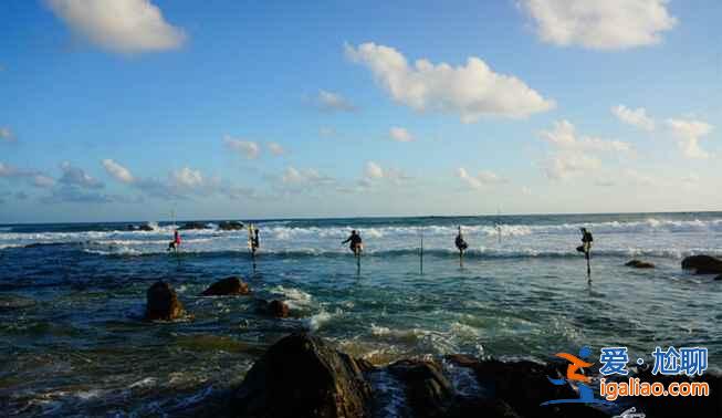 斯里蘭卡的高蹺捕魚(yú),讓人稱(chēng)奇!? 斯里蘭卡的高蹺捕魚(yú),讓人稱(chēng)奇!?