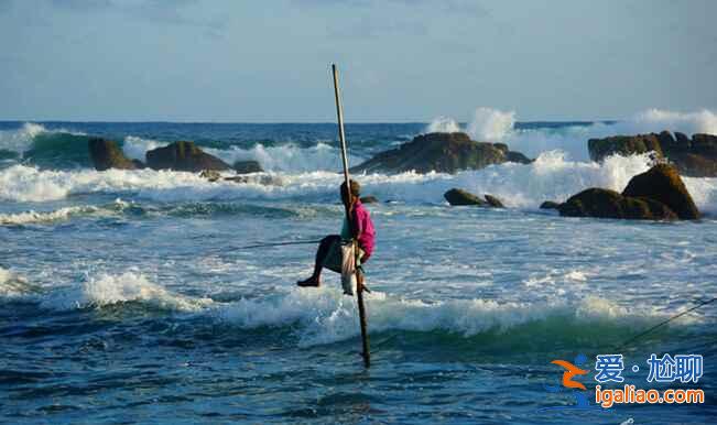 斯里蘭卡的高蹺捕魚(yú),讓人稱(chēng)奇!? 斯里蘭卡的高蹺捕魚(yú),讓人稱(chēng)奇!?