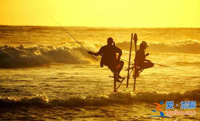 斯里蘭卡的高蹺捕魚(yú),讓人稱(chēng)奇!? 斯里蘭卡的高蹺捕魚(yú),讓人稱(chēng)奇!?