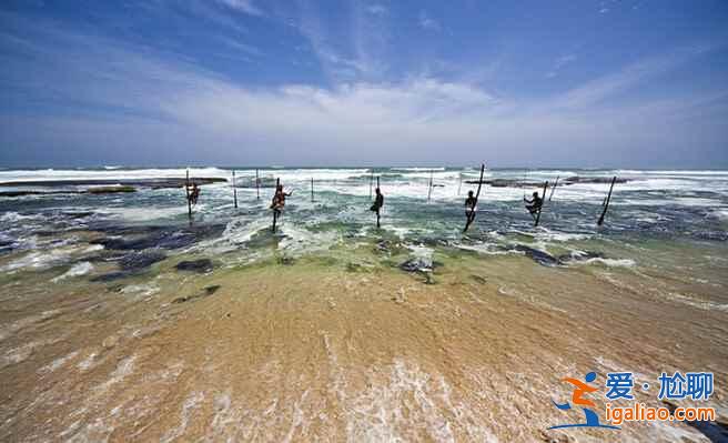斯里蘭卡的高蹺捕魚(yú),讓人稱(chēng)奇!? 斯里蘭卡的高蹺捕魚(yú),讓人稱(chēng)奇!?