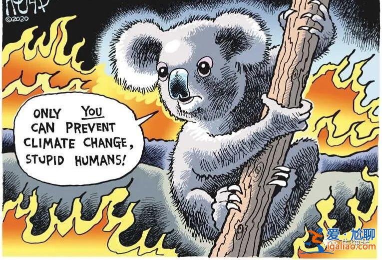 12月20日 一位很特別的女外長來中國了？