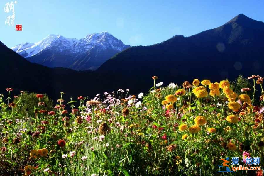 中國十二時辰圖,原來時間這么美!? 中國十二時辰圖,原來時間這么美!?