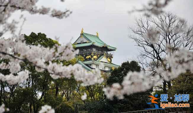 日本這些地方最宰客，去日本注意啦??？