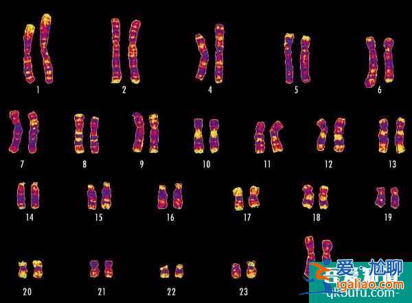 切入新生兒畸形主因，試管嬰兒孕前把控寶寶健康？