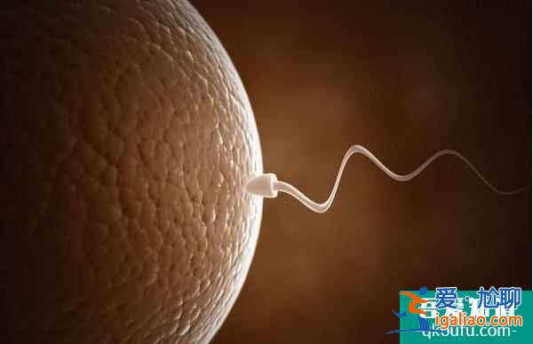 切入新生兒畸形主因，試管嬰兒孕前把控寶寶健康？