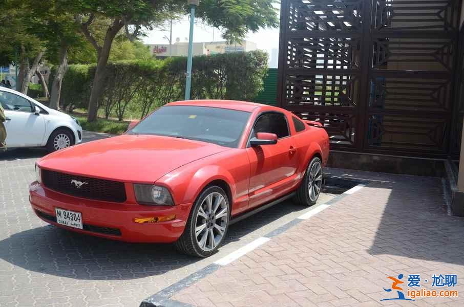 迪拜街頭的豪車，真是叼炸天！？
