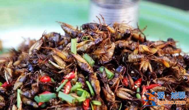 重口味美食，柬埔寨絕對是當之無愧的第一！？