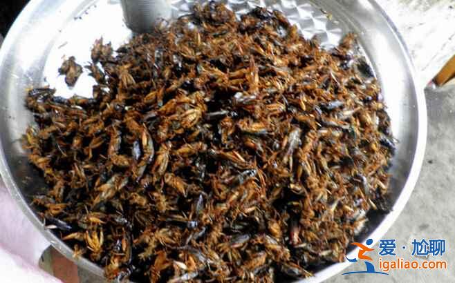 重口味美食，柬埔寨絕對是當之無愧的第一！？