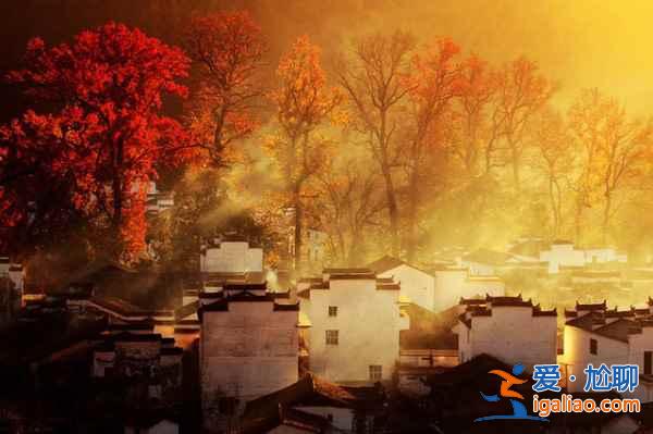 婺源人少景美的小村莊,不去看人頭!? 婺源人少景美的小村莊,不去看人頭!?