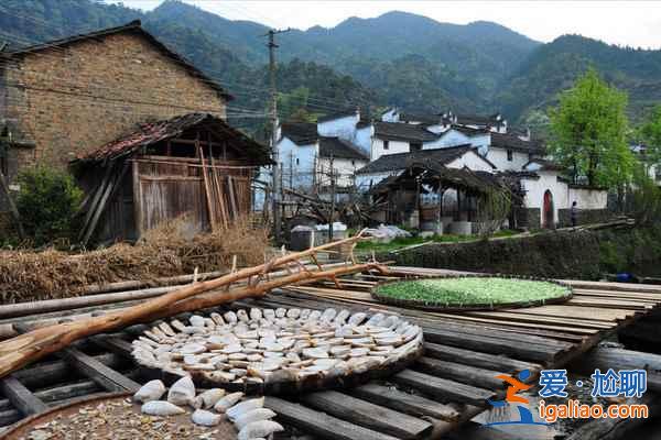 婺源人少景美的小村莊,不去看人頭!? 婺源人少景美的小村莊,不去看人頭!?