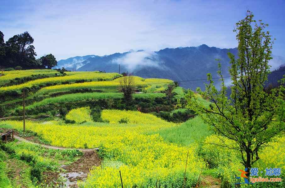 婺源人少景美的小村莊,不去看人頭!? 婺源人少景美的小村莊,不去看人頭!?