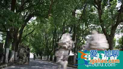 《藍(lán)軍出擊》：多有“出其不意，攻其不備”，大劇必有看頭？