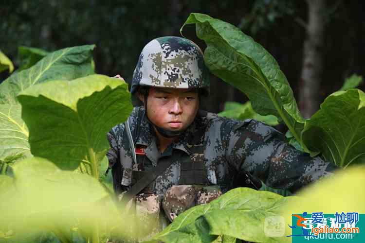 老兵們，一路走好！《藍軍出擊》展現“磨刀石”部隊風采？