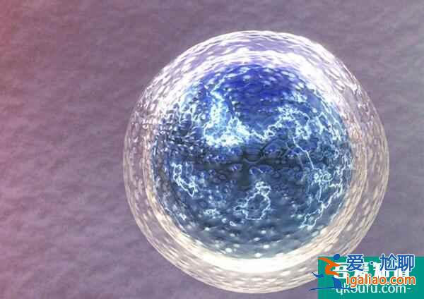 從非婚生子隨母落戶政策角度分析赴美試管助孕的三大好處？