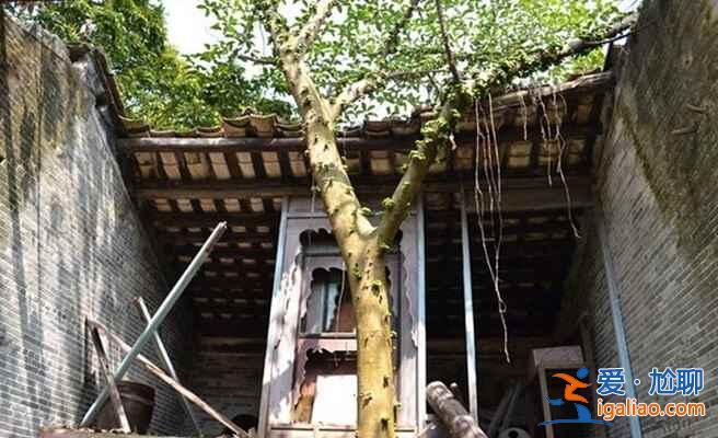 走進開平無人村，真實的恐怖場景再現！？