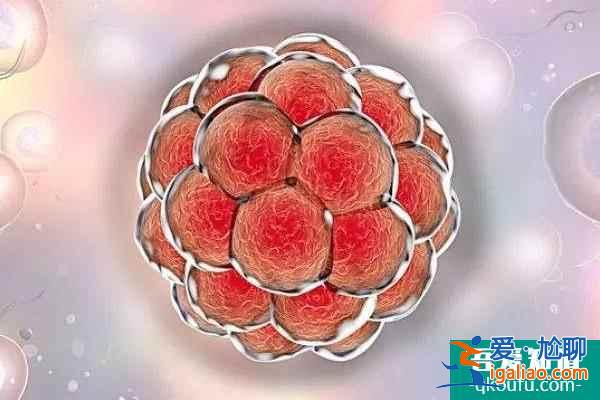 試管嬰兒囊胚移植后便秘怎么辦？？