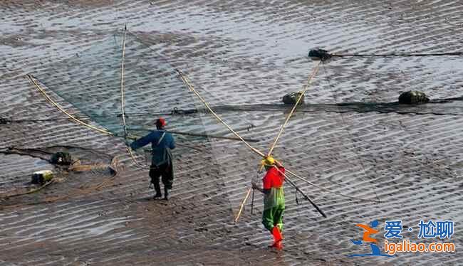 中國最美的漁村——福建霞浦？
