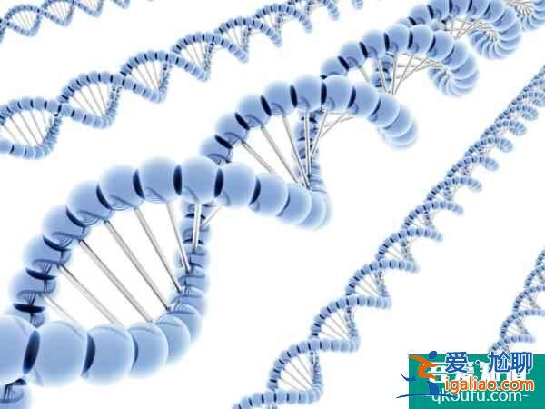 第三代試管嬰兒技術發展使國內二胎懷孕率大幅度提升？