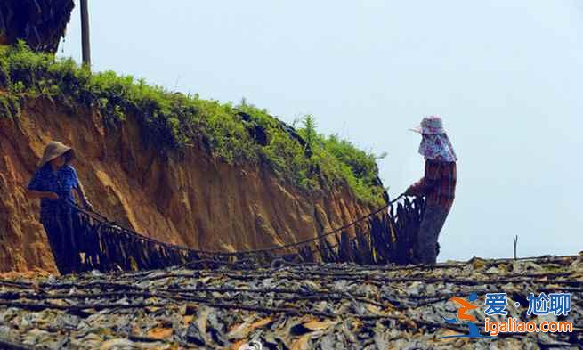 中國最美的漁村——福建霞浦？
