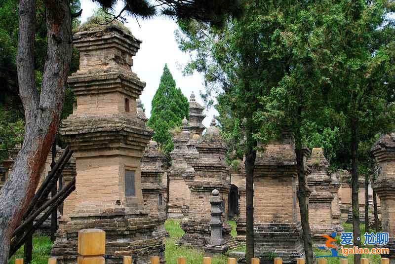 【交通指南】洛陽去少林寺怎么坐車，洛陽去少林寺怎么走？