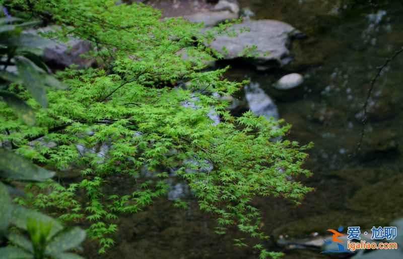 杭州有什么好玩的地方,杭州好玩景點推薦? 杭州有什么好玩的地方,杭州好玩景點推薦?