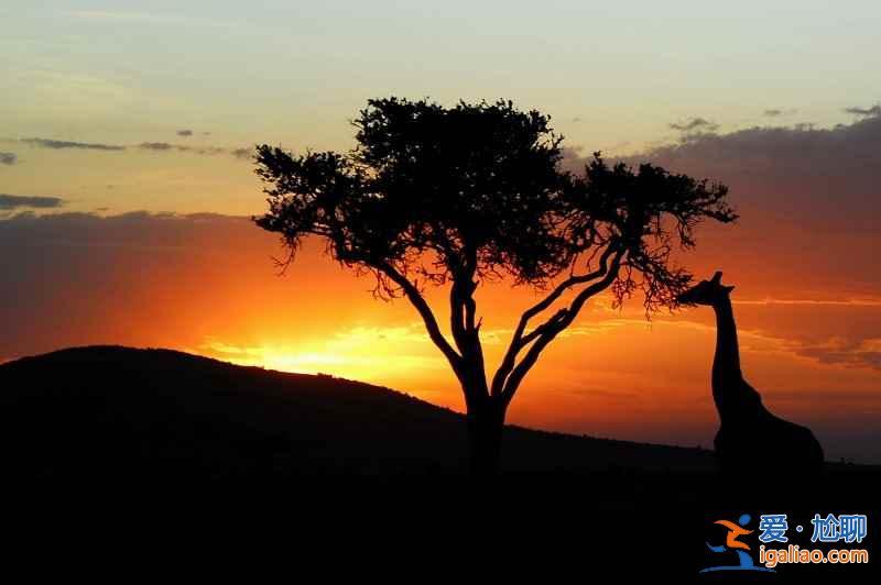 走萬里路！到了非洲，你才知道這些??？