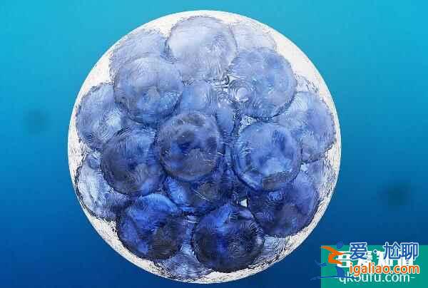 單角子宮對生育的影響？