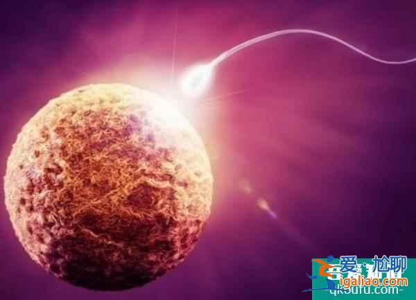 單身男士赴美做試管嬰兒，助您開啟父親節(jié)模式？