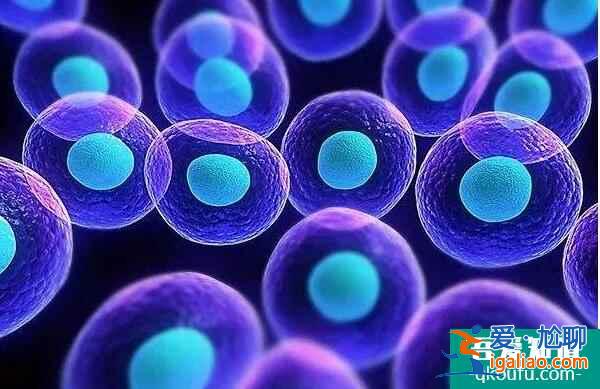 單角子宮對生育的影響？