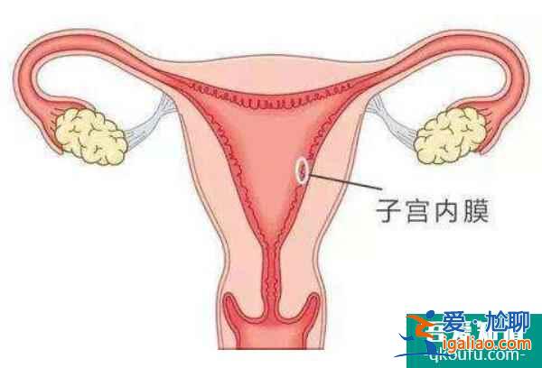 單角子宮對生育的影響？