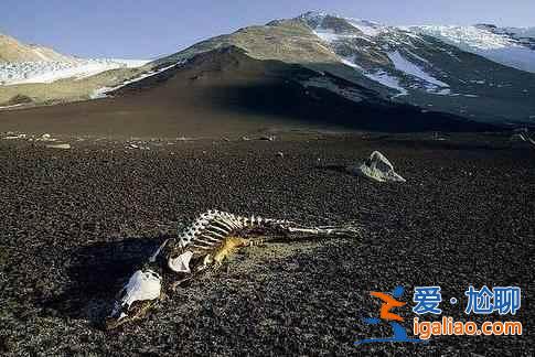 昆侖山的地獄之門——昆侖死亡谷? 昆侖山的地獄之門——昆侖死亡谷?