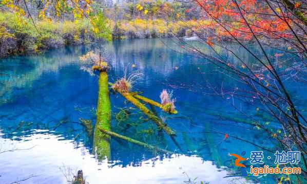 川西，四川最迷人的地區(qū)【海量美圖】？