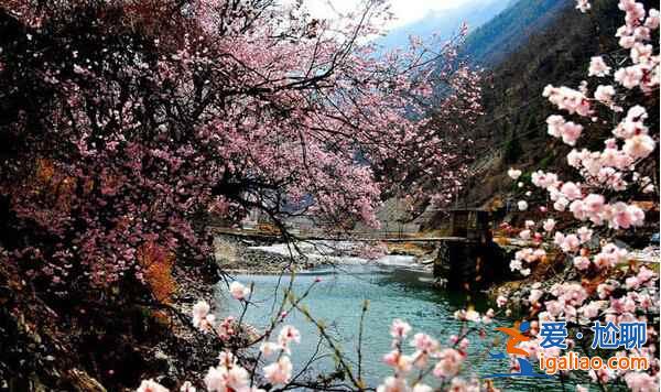 川西，四川最迷人的地區(qū)【海量美圖】？