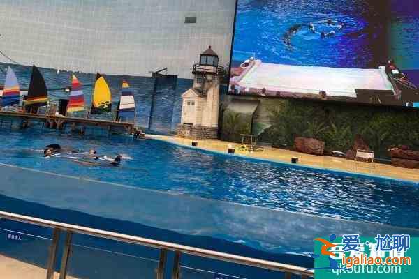 2022年上海海昌海洋公園跨年活動什么時候開始(附活動詳情)？