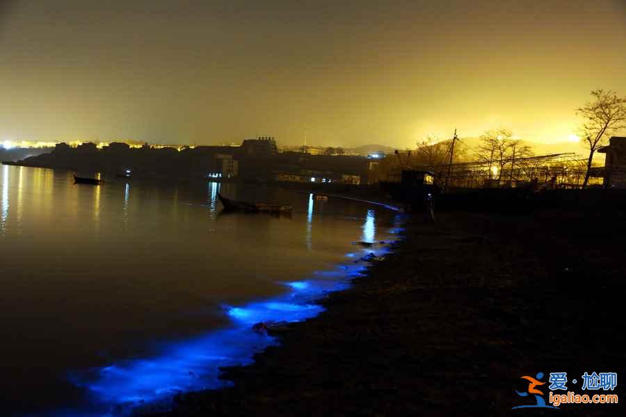 大連熒光海灘在哪里，大連熒光海灘能持續多久？