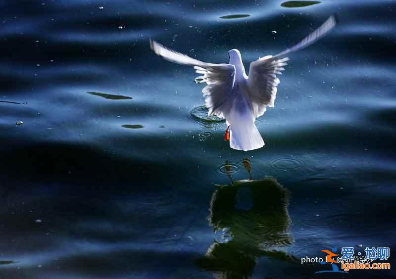 昆明八景有哪些,一起來數(shù)數(shù)? 昆明八景有哪些,一起來數(shù)數(shù)?