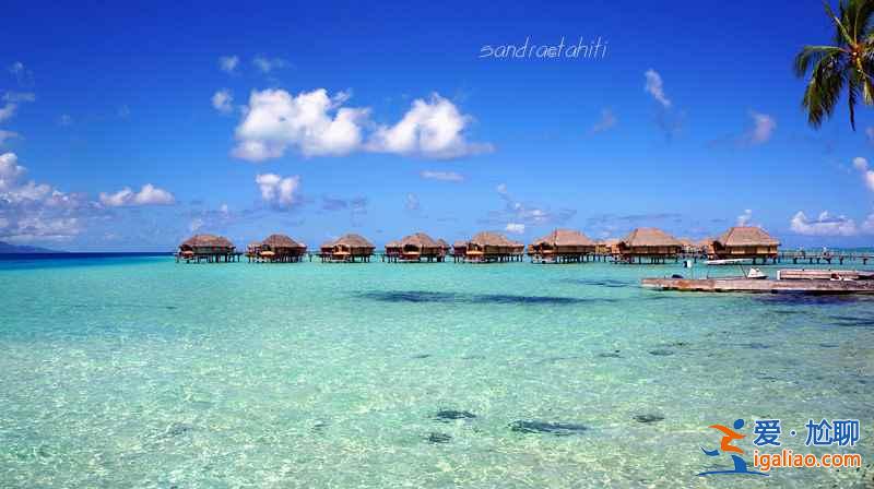 大溪地對中國免簽了，快來看最全的大溪地攻略??？