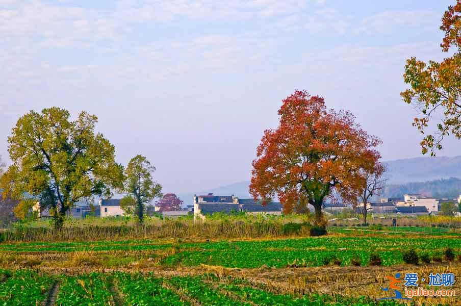 桃花源里，有個(gè)塔川（攝影圣地）？