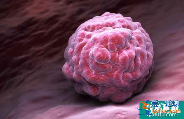 試管嬰兒生雙胞胎與單胎，價格一樣嗎？？