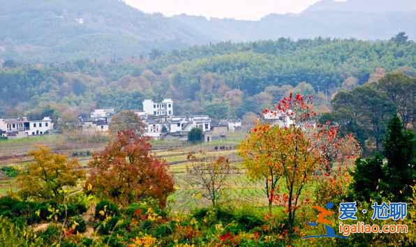 桃花源里，有個(gè)塔川（攝影圣地）？